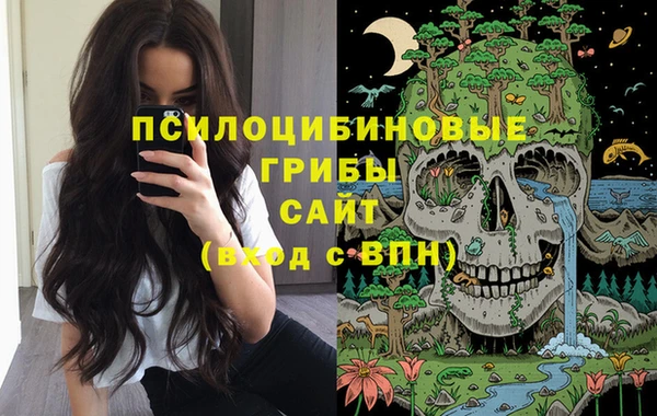 apvp Покров