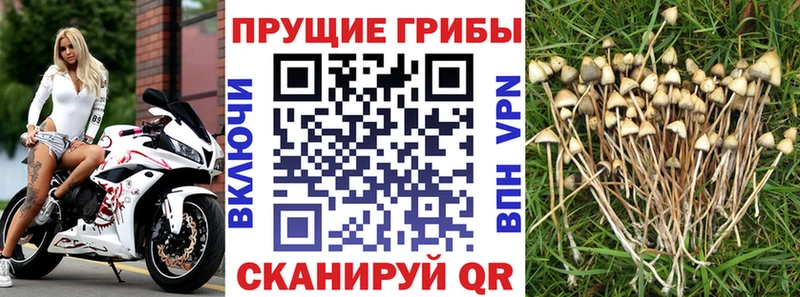 Псилоцибиновые грибы ЛСД  Сосногорск 